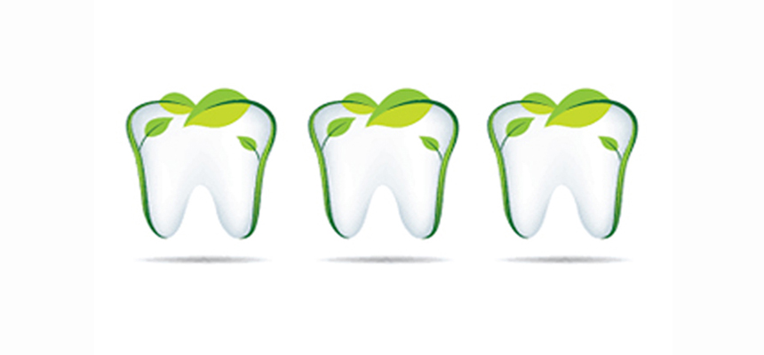 HOLISTIC DENTISTRY