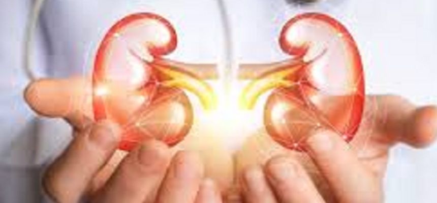  World Kidney Day March 11th 2021