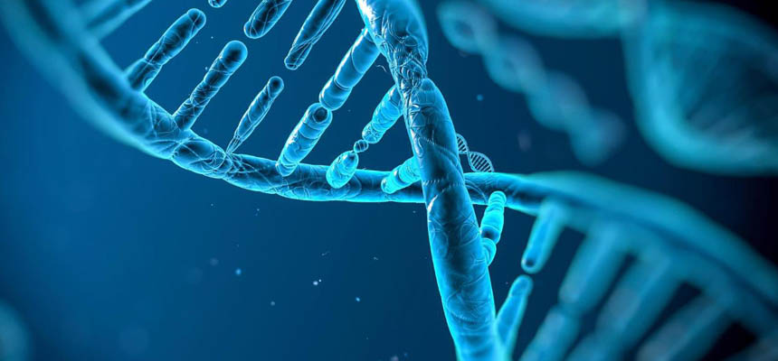 Role of genetic counellors in healthcare