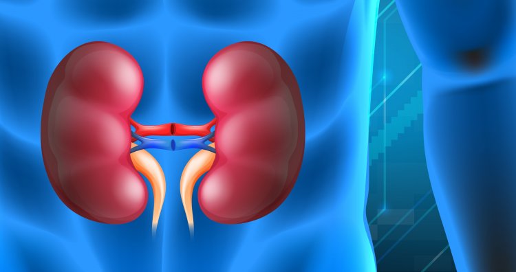Doctors at Aware Gleneagles Global Hospital remove 206 Kidney stones from a patient in one hour