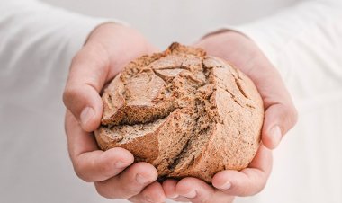 Gluten Intolerance: The rising problem