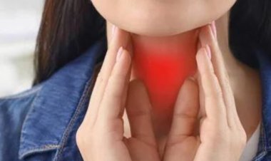 Endocrine Disorders: Causes, Tests, and Treatment