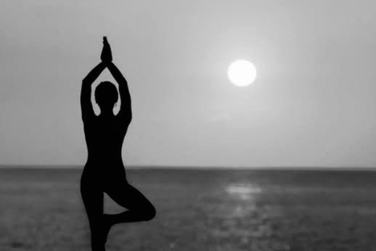 Celebrating International Day of Yoga: Embracing Wellness, Finding Harmony