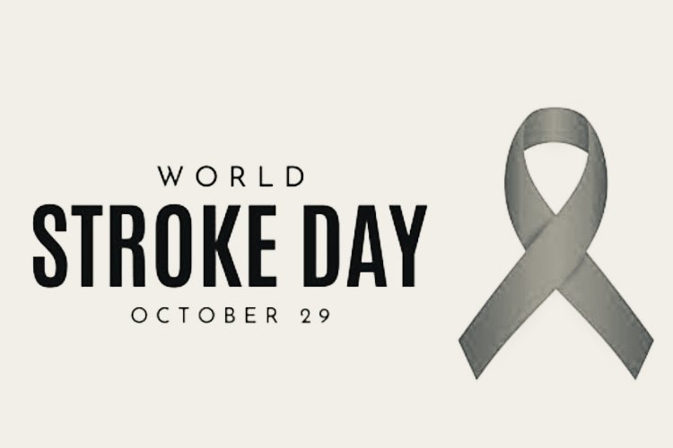 World Stroke Day: Understanding Stroke and How to Prevent It World Stroke Day 2024 focuses on leveraging the impact of sports to promote stroke awareness and motivate individuals to lower their risk of strokes on a global scale under the theme